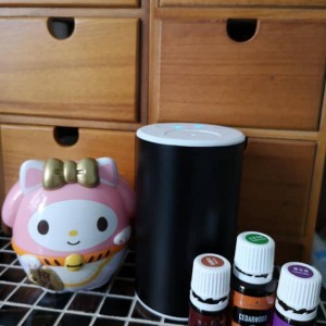 專心油 (中國市場)